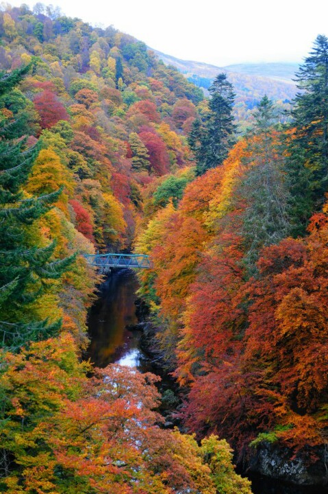 fall in scotland