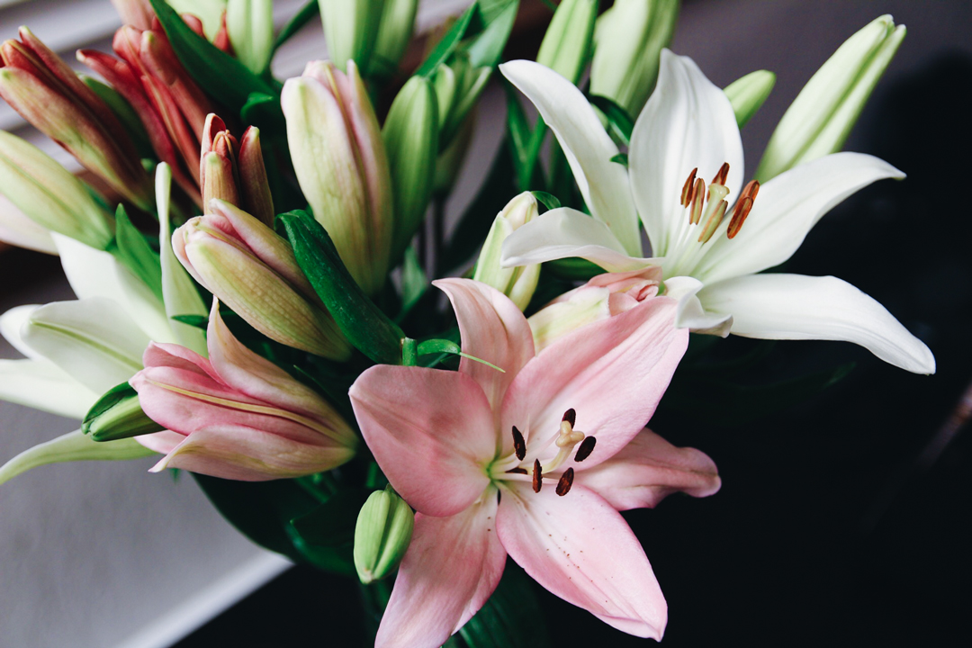 Lily Flower arrangement from the Bouqs Co